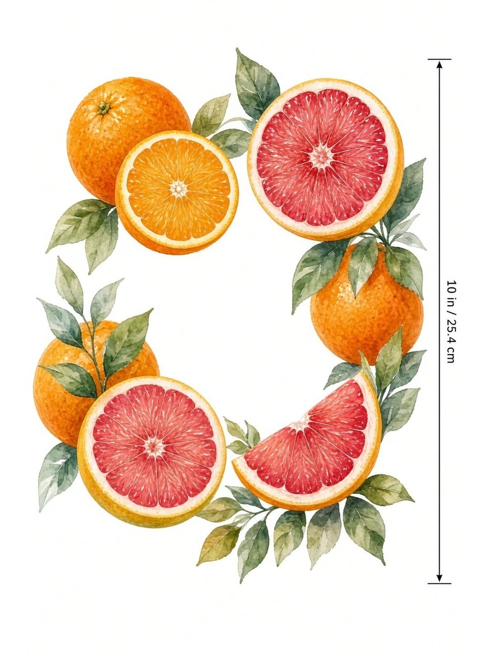 4pcs 10in Citrus Orange Grapefruit Fruit Collage DTF Transfer